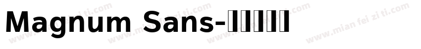 Magnum Sans字体转换